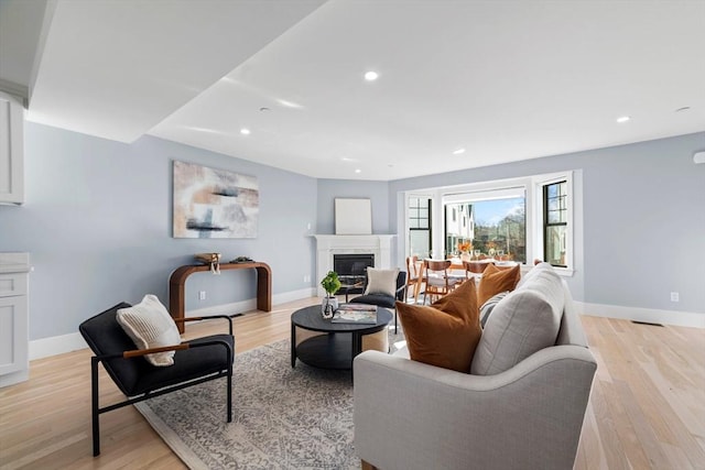 living room with light wood-style floors, baseboards, and a premium fireplace