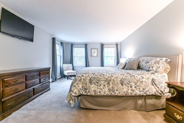 bedroom featuring carpet, multiple windows, and baseboard heating