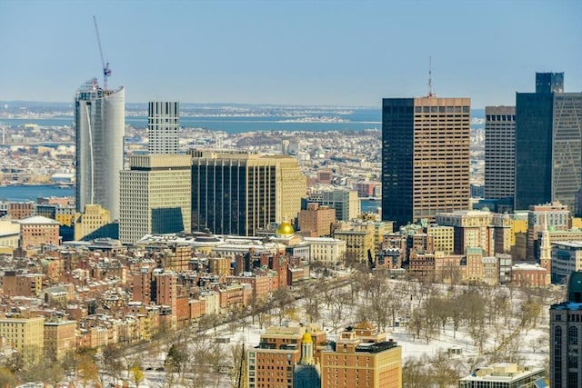 1 Dalton St Unit 5102, Boston, MA 02115 - view of city