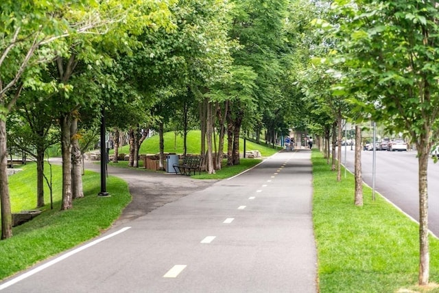 view of community with a yard