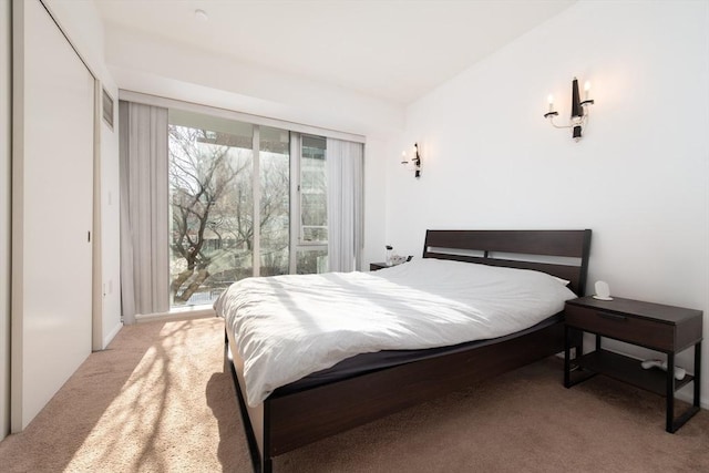 carpeted bedroom with a closet