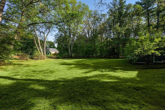 56 Arrowhead Rd, Weston, MA 02493 - view of green lawn