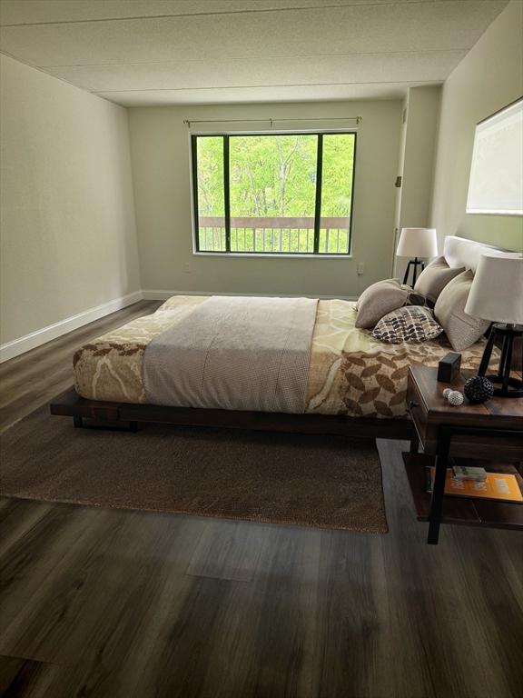 1550 Worcester Rd Unit 503, Framingham, MA 01701 - bedroom featuring wood finished floors and baseboards