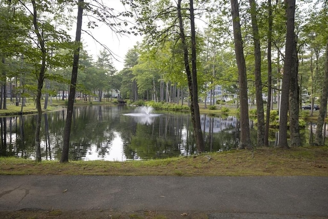 140 Heritage Dr Unit 140, Northbridge, MA 01588 - water view