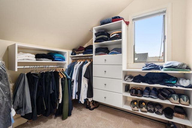 50-52 Linden Pl, Brookline, MA 02446 - spacious closet with vaulted ceiling and carpet