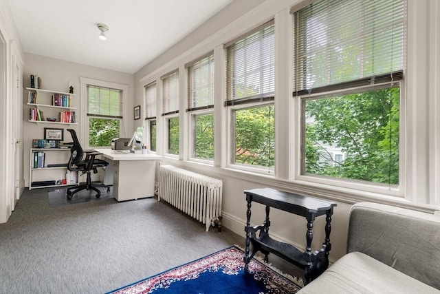 50-52 Linden Pl, Brookline, MA 02446 - office space with radiator heating unit and baseboards