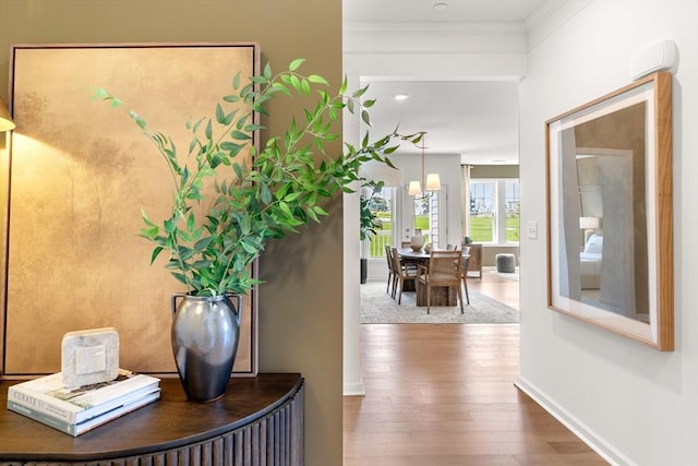 hall featuring wood-type flooring, baseboards, and ornamental molding