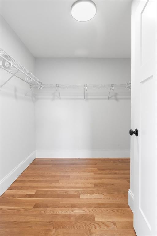 walk in closet featuring wood-type flooring