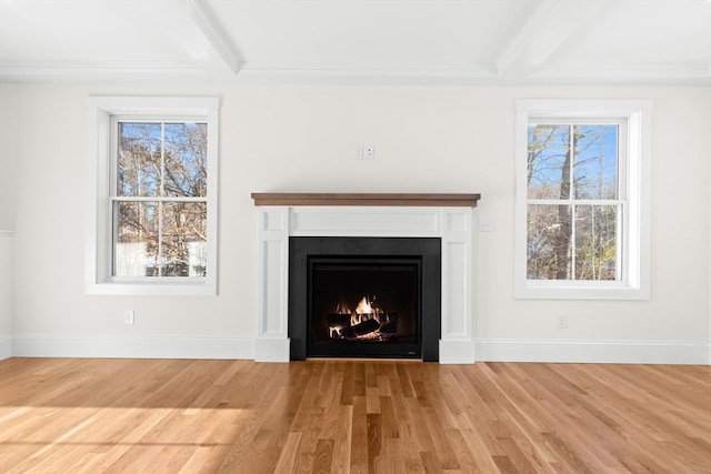 room details featuring beam ceiling, ornamental molding, and hardwood / wood-style flooring