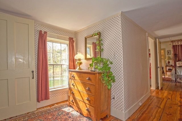 entryway with hardwood / wood-style flooring