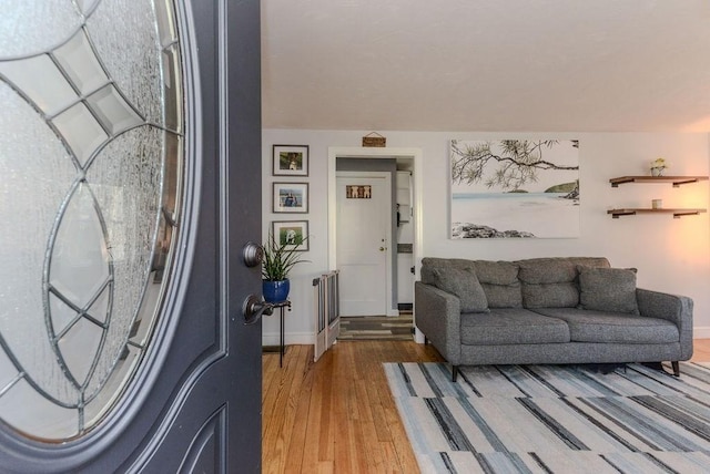 living room featuring hardwood / wood-style floors