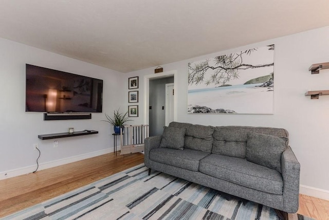 living room with wood-type flooring