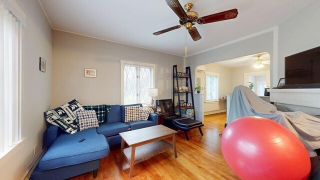 142 Dale St, Waltham, MA 02451 - living room with a ceiling fan, light wood-style flooring, and crown molding