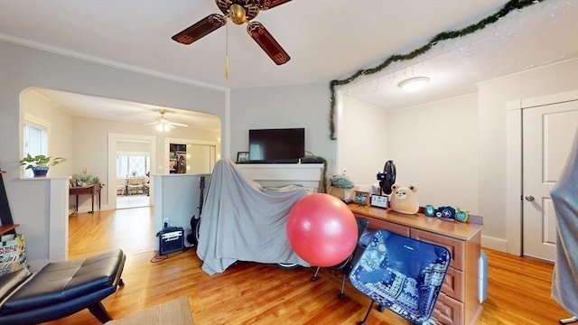 142 Dale St, Waltham, MA 02451 - miscellaneous room featuring ceiling fan, light wood-style floors, and ornamental molding