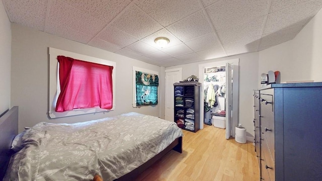 142 Dale St, Waltham, MA 02451 - bedroom with light wood finished floors and a drop ceiling