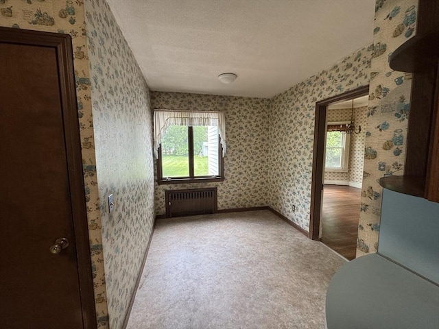 117 Rogers, West Springfield, MA 01089 - carpeted empty room with radiator, wallpapered walls, and a textured ceiling