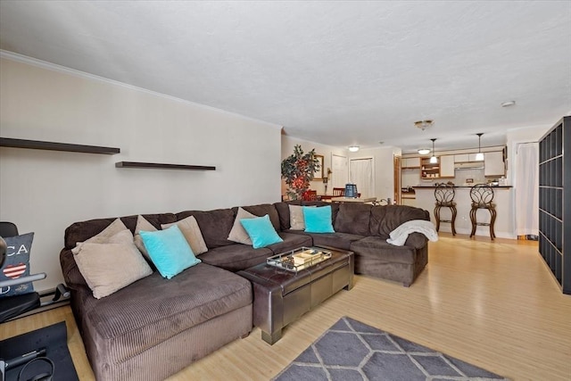 living room with crown molding and light hardwood / wood-style flooring