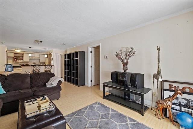 living room featuring crown molding and light hardwood / wood-style floors