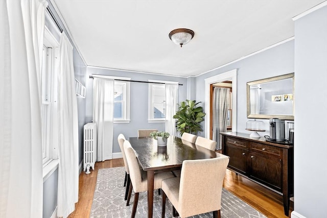 dining space with light wood-type flooring, crown molding, and radiator heating unit