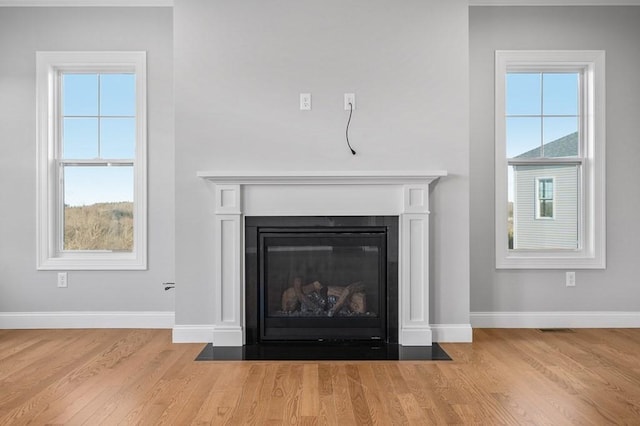 details with a fireplace with flush hearth, baseboards, and wood finished floors