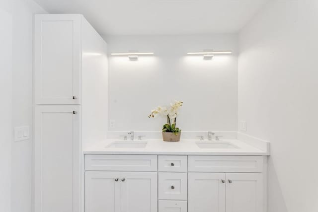bathroom featuring double vanity and a sink