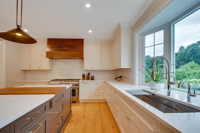 kitchen featuring light wood finished floors, tasteful backsplash, high end stove, premium range hood, and a sink