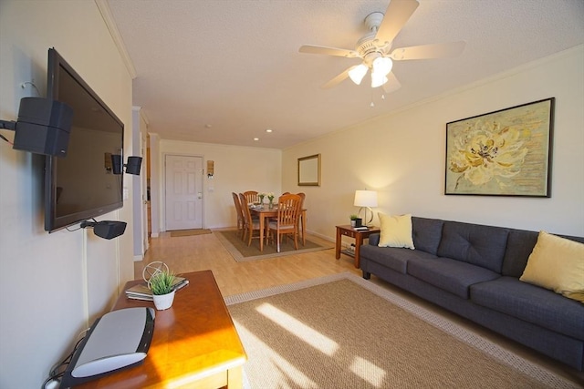 living room featuring crown molding, ceiling fan, and light wood-type flooring