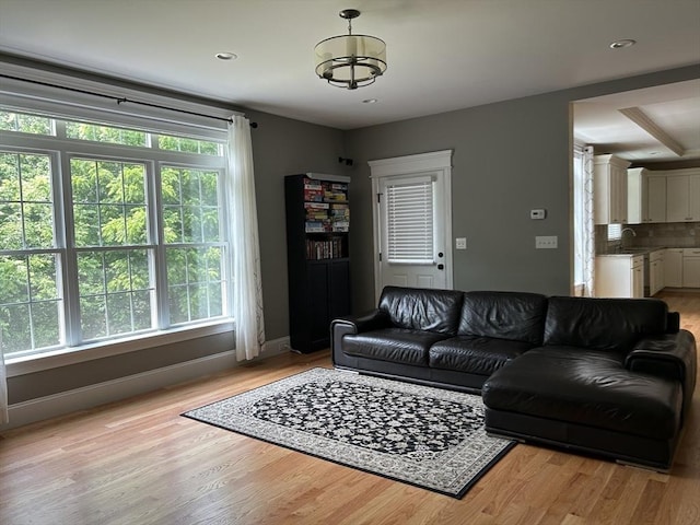 61 School St Unit B, Natick, MA 01760 - living room with light wood-style flooring