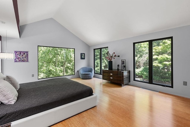 169 Hickory Rd, Weston, MA 02493 - bedroom with wood finished floors and high vaulted ceiling