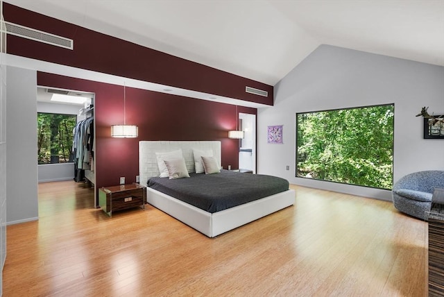 169 Hickory Rd, Weston, MA 02493 - bedroom featuring wood finished floors, a spacious closet, and high vaulted ceiling