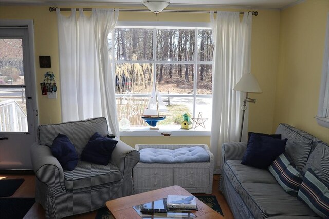 25 Day Rd, Wellfleet, MA 02667 - living room featuring a healthy amount of sunlight