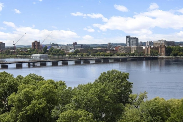 water view featuring a notable bridge and nearby urban area