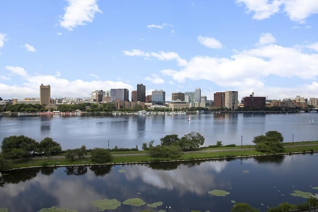 water view featuring a view of skyline