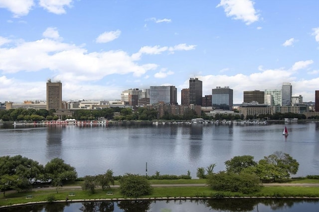 water view featuring a skyline view