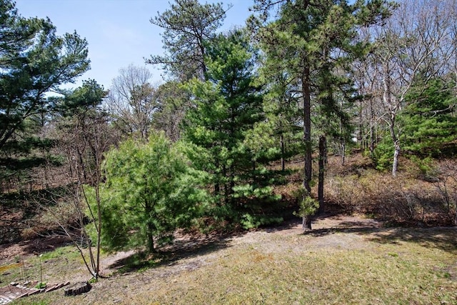 view of yard with a forest view