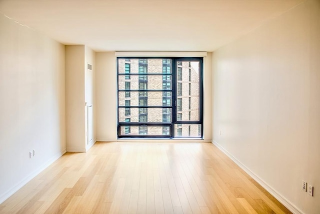 spare room featuring expansive windows and light hardwood / wood-style flooring