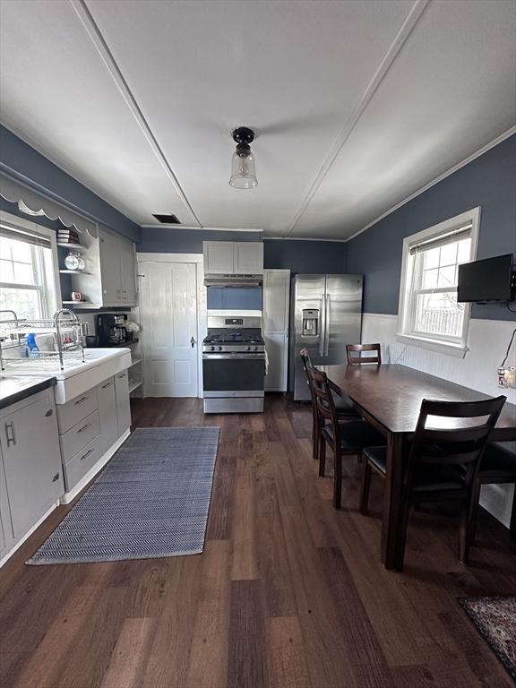 kitchen featuring sink, plenty of natural light, stainless steel appliances, and dark hardwood / wood-style floors