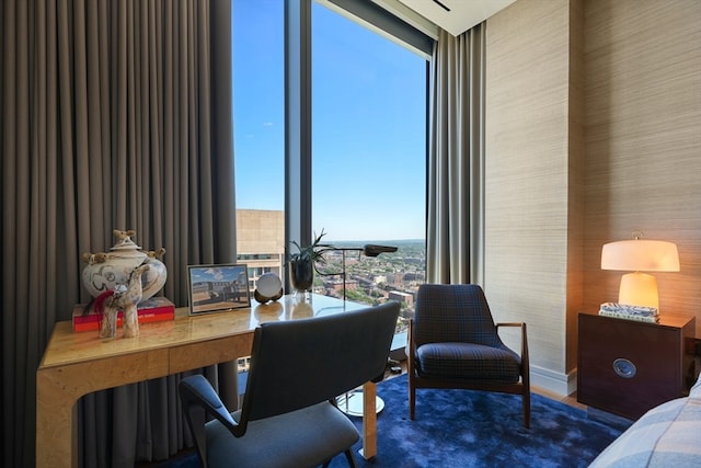 office area featuring a wealth of natural light