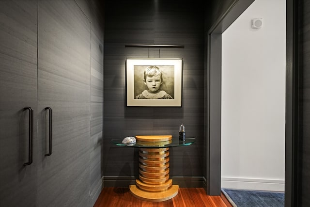 bathroom featuring wood-type flooring