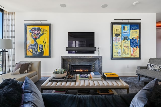 living room with wood-type flooring and a premium fireplace