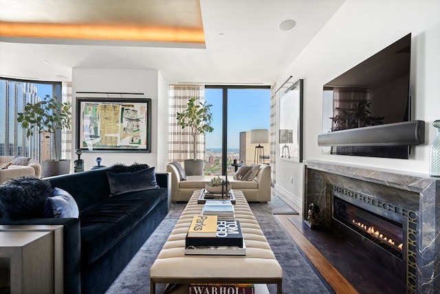 living room with dark hardwood / wood-style flooring and a fireplace