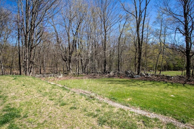 32 Leverett Rd, Shutesbury, MA 01072 - view of grassy yard featuring a view of trees