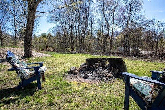 32 Leverett Rd, Shutesbury, MA 01072 - view of green lawn