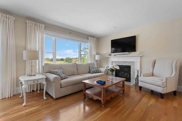 living room with wood-type flooring and a fireplace