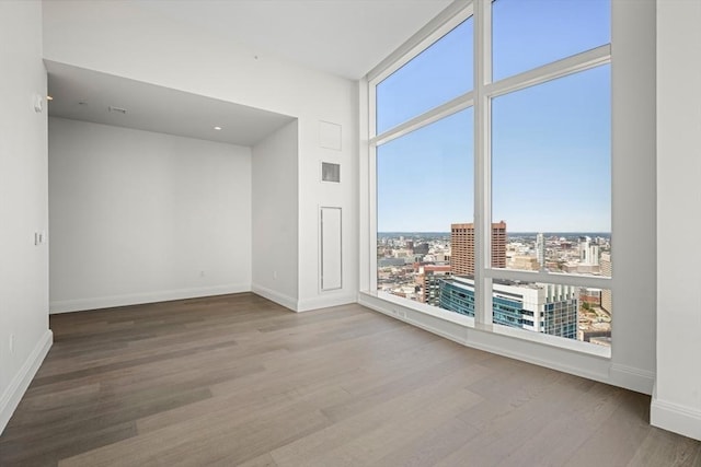 empty room with plenty of natural light and light hardwood / wood-style floors