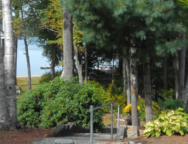 9 Pine Grove Rd, Westford, MA 01886 - view of property's community