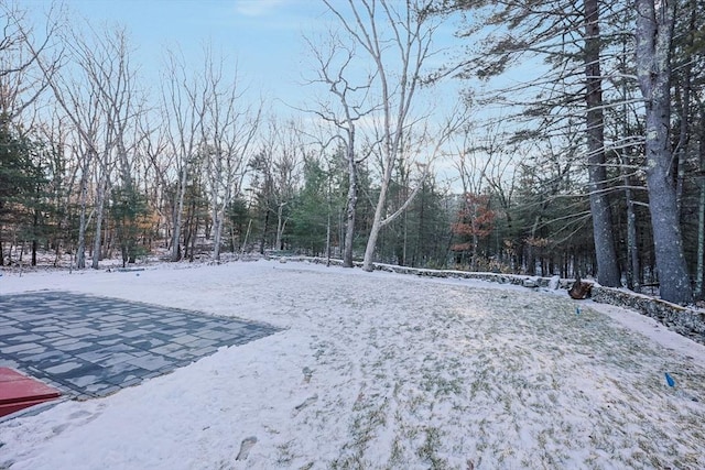 view of snowy yard