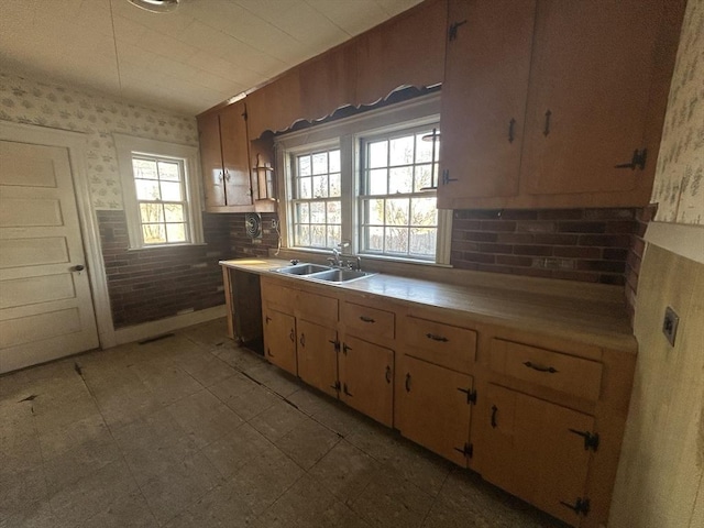 kitchen featuring sink and plenty of natural light