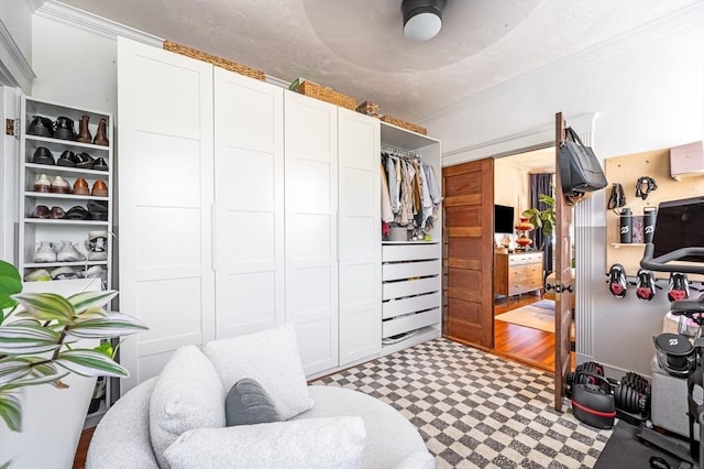 spacious closet featuring light floors