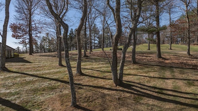 46 Buttonwood Ln Unit 46, Ipswich, MA 01938 - view of green lawn